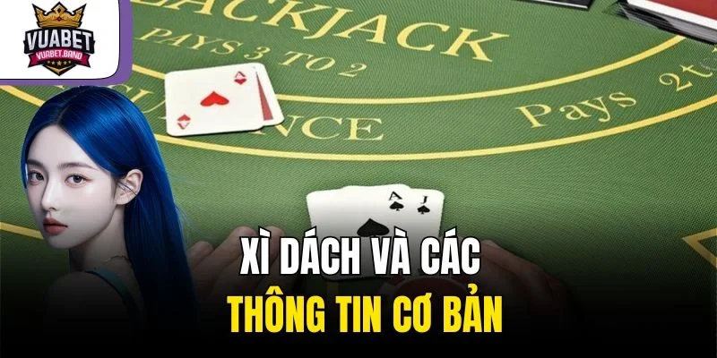 Xì dách và các thông tin cơ bản